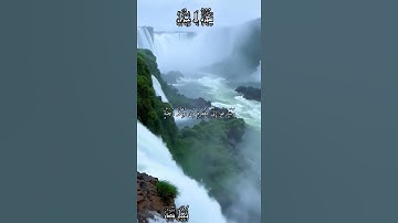 قرآن كريم القارئ نعمان بندر سورة (آل عمران)