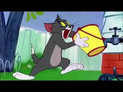Tom & Jerry   Animal Friends! 🐘🦭   Animals Takeover   @wbkids