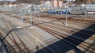 디젤기관차 7381호 견인 S-Train #4871 열차(무궁화호 객차 2량 땜빵)