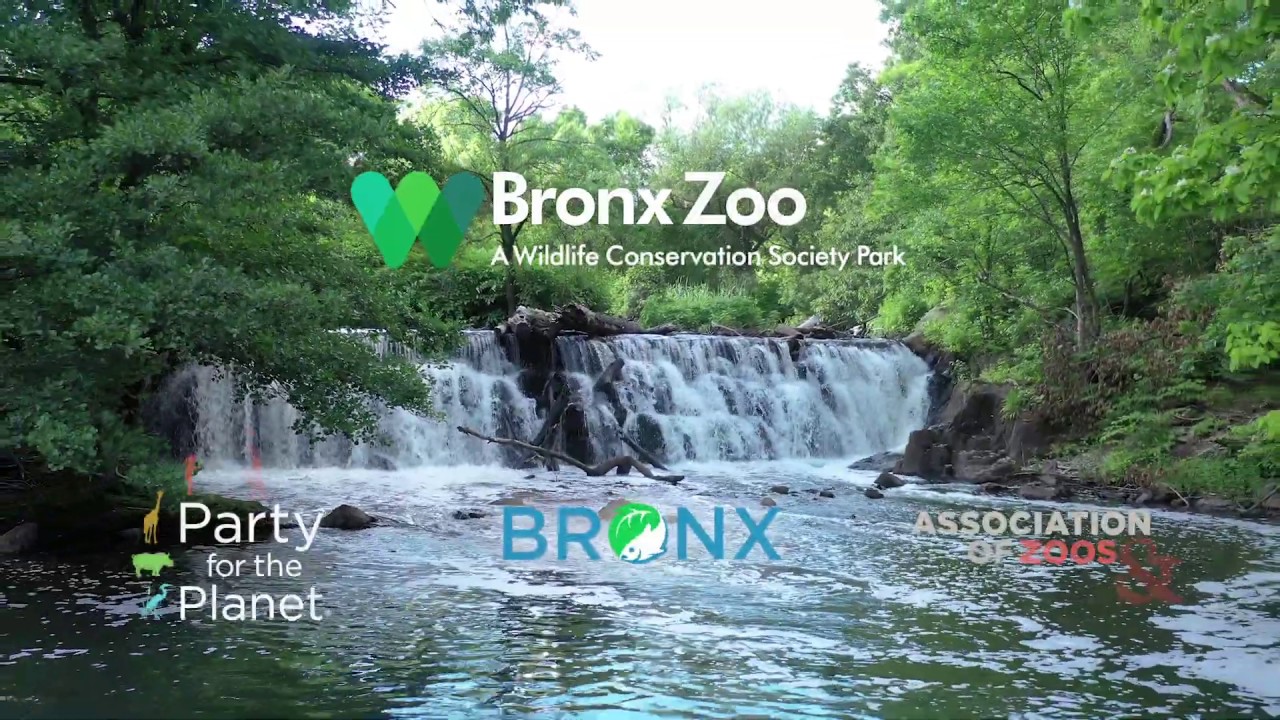 Party for the Planet: Bronx Zoo