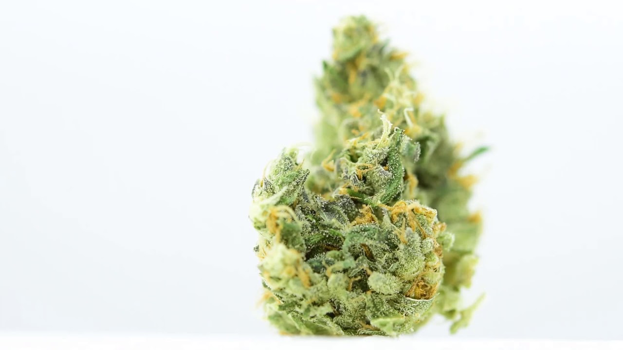 Got Kush BC ayahuasca Haze Weed Review