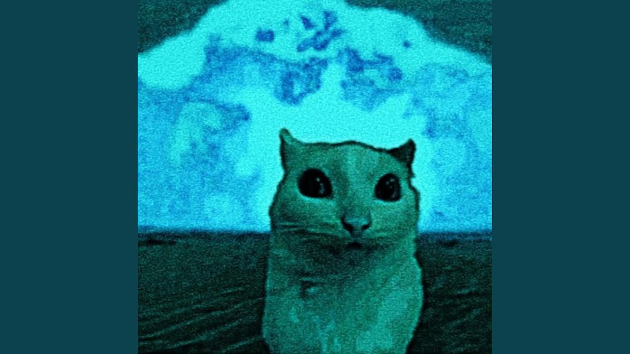 Watch meow on YouTube Watch meow on YouTube