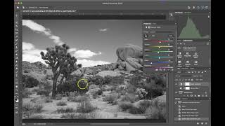 Adobe Photoshop Demo - Adjustment Layer B&amp;W