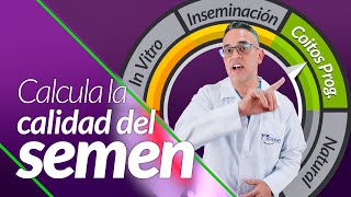 Calculadora de calidad del semen (Concentración, motilidad y morfología de los espermatozoides)