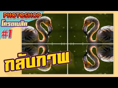 วิธีกลับภาพ : Photoshop โครตเบสิค #1