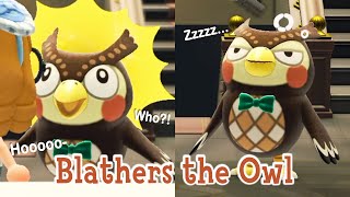Blathers The Owl Museum Director Paleontologist Animal Crossing New Horizons ACNH