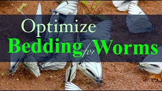 Bedding for Worms: Coir, Leaves or Peat Moss?