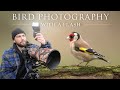 Bird Photography with Flash - Nikon z6 II &amp; Sigma 150-600