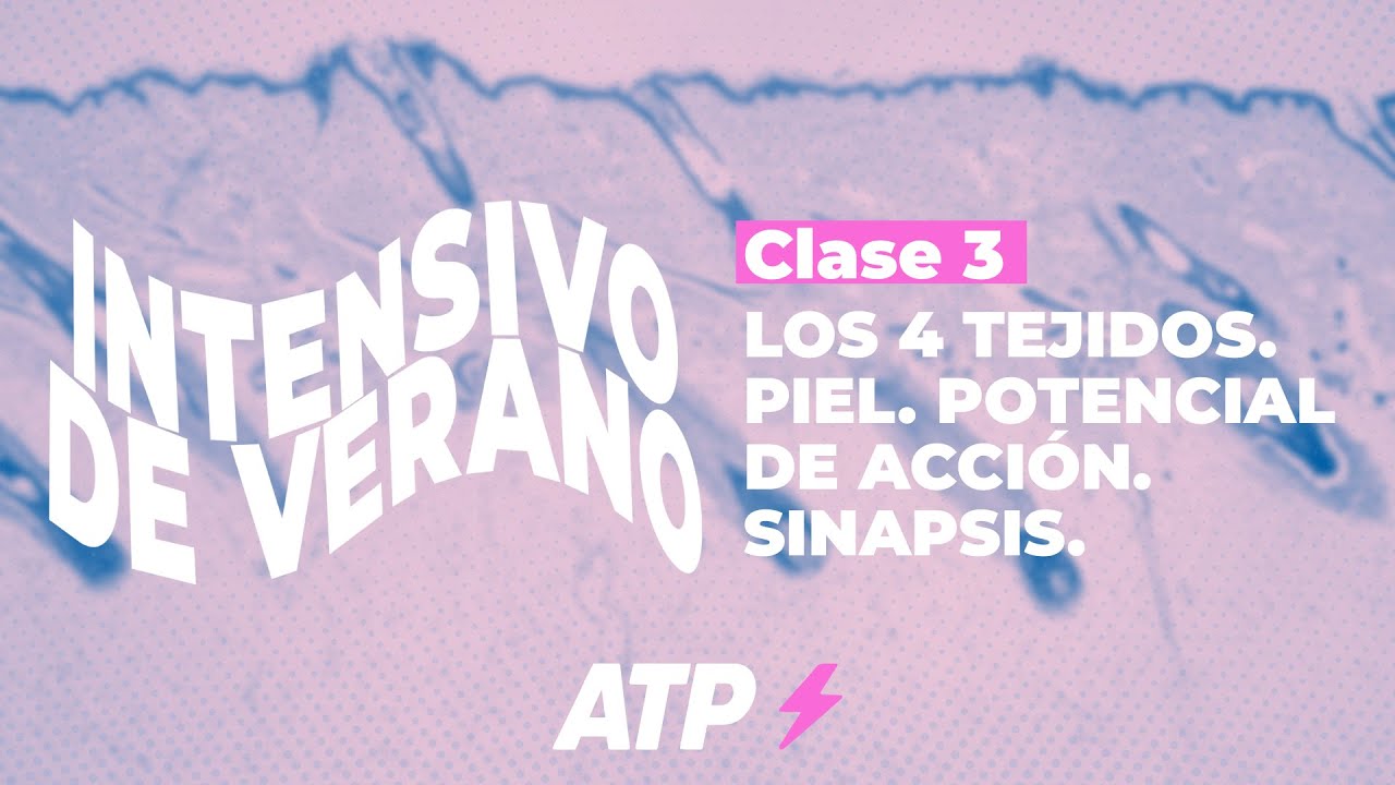 Intensivo CyD | Clase 3: Tejidos. Piel. Potencial de acción y sinapsis