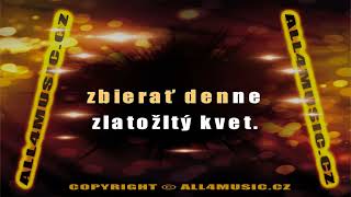 KJ1650 ELÁN-Chcel by som ti šepkať (Karaoke verze)