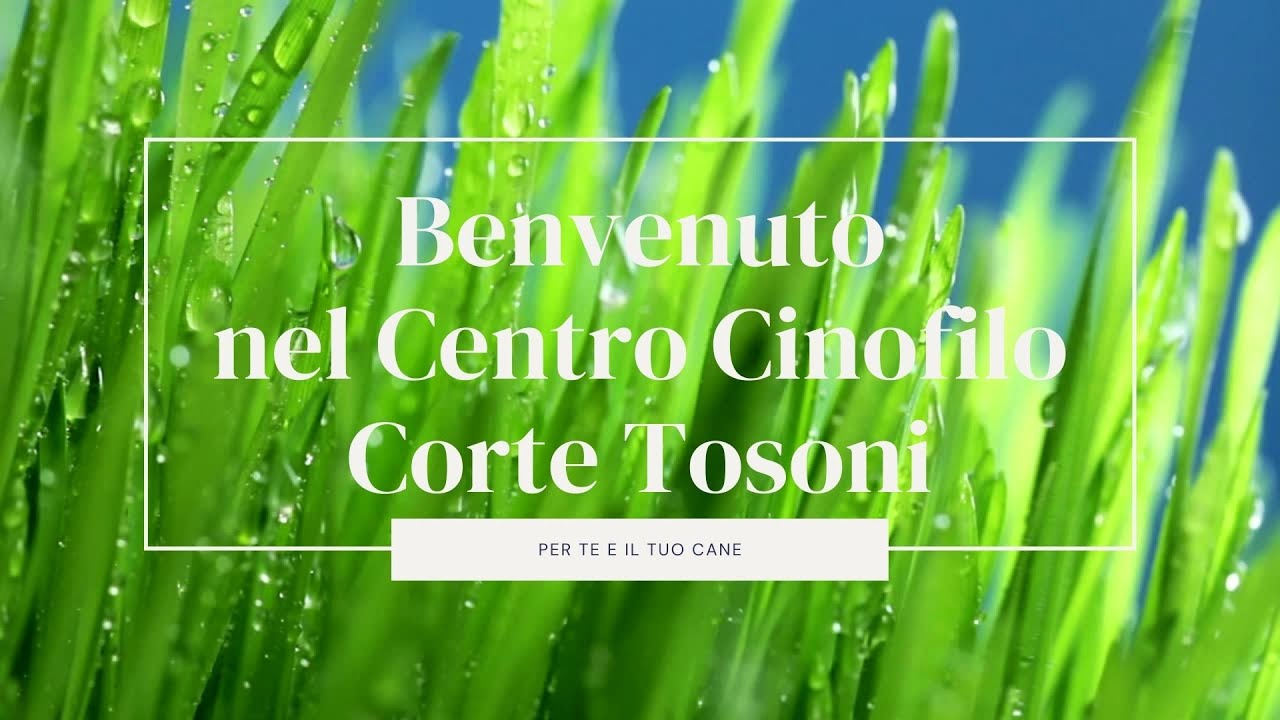 Presentazione struttura Centro Cinofilo Corte Tosoni