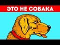 11 Оптических Иллюзий, Которые Обманут Ваши Глаза