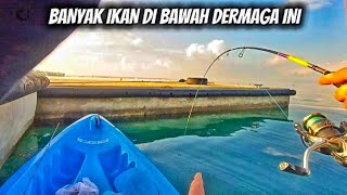 Download Lagu ‼️HERAN‼️BABY GT NGUMPUL DI BAWAH DERMAGA INI MP3 Download Lagu ‼️HERAN‼️BABY GT NGUMPUL DI BAWAH DERMAGA INI MP3