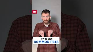 How to sign Common Pets: BSL Sign of the Day 171
Learn how to sign Dog, Cat, Rabbit and Fish in BSL. In this video, we demonstrate for of the most common pets in the UK.
The example sentence in English is: Do you have any pets?
#BSL #BritishSignLanguage #BSLSignoftheDay How to sign Common Pets: BSL Sign of the Day 171