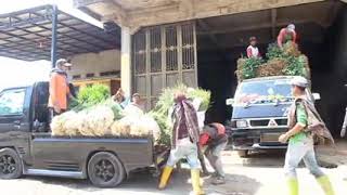 IPS KELAS VII contoh interaksi antarruang kendaraan pengangkut sayuran