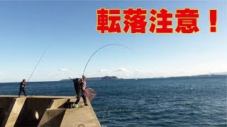 転落注意の大物釣り(278話目)
