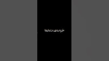 كرومات القرآن الكريم | علي جابر - سورة الأنعام - ايـة ٣١ #ملون