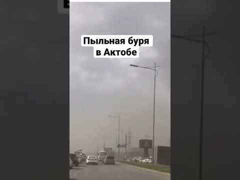 Видео: Как да се подготвим за буря с вашия домашен любимец