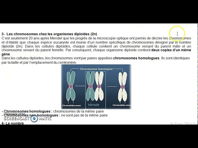 génétique chapitre 01