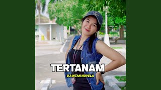 Download Lagu Tertanam Download Lagu Tertanam