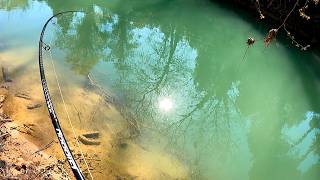 Nouveau spot pour les Carpes de Mars au pain + jeu concours canne Hart 169e
