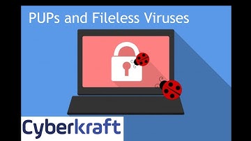 PUPs and Fileless Viruses Security+ SY0-601 Domain 1.2.8