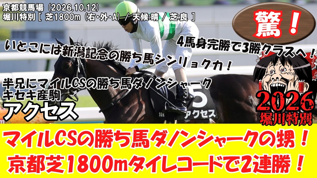 競馬】 驚き！ マイルCSの勝ち馬ダノンシャークの甥！京都芝1800mタイ