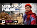 This farm grows 80kg of mushrooms a week! 🍄 | Everyday | ABC Australia