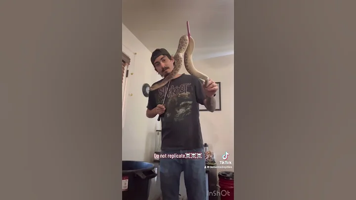 Mojave rattlesnake! #rattlesnake #nature #wildlife #reptiles #venomous #mojave ☠️🔥🐍