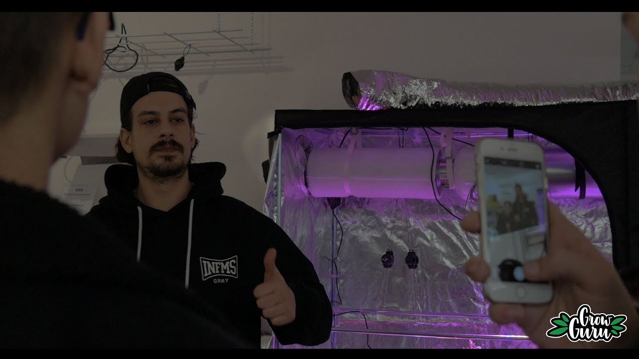 HAZE - Grow Guru Autogrammstunde (Beat by DASAESCH)