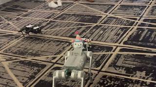 IMG 4725