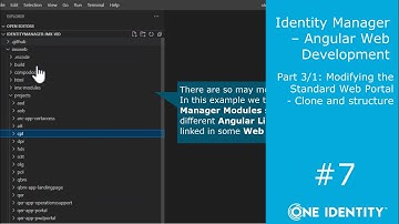 Identity Manager | Angular Web Development #7 | Modifying the Standard Web Portal #1