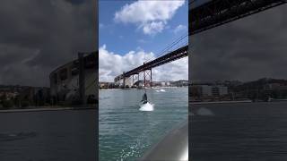 Lisboa today with dolphins and a minke whale. Just so beautiful🇵🇹#dolphin #lisboa #shorts #foryou