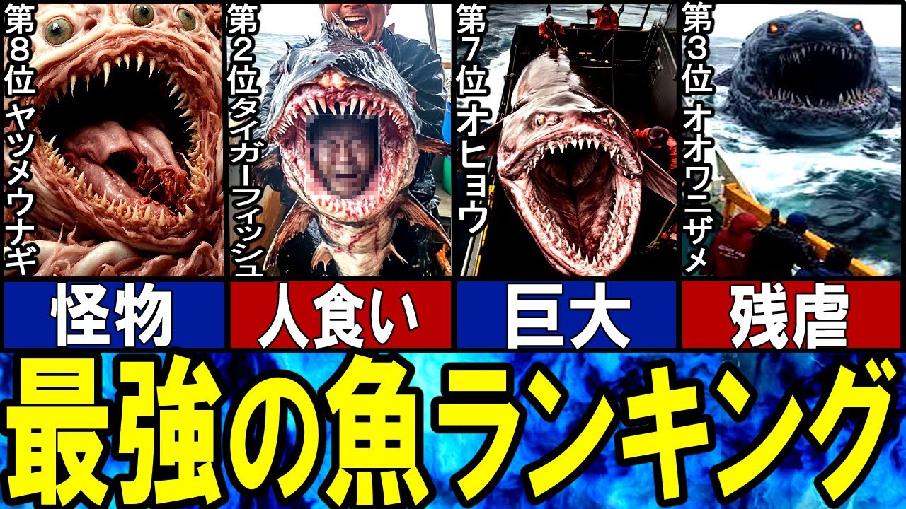 【閲覧注意】最強の魚 TOP10【ゆっくり解説】【総集編】