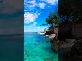 What Is The Best Excursion In Nassau Bahamas What Is The Best Excursion In Nassau Bahamas