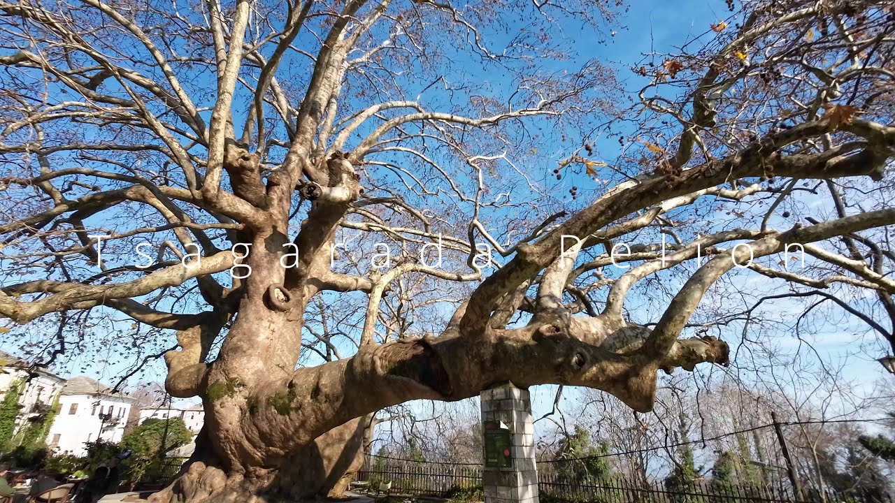 Exploring Tsagarada, Mouresi, Kissos Pelion GREECE in 4k!