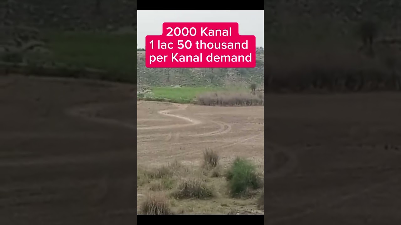 پنڈی گھیب 2000 کنال رقبہ فار سیل | Agriculturel property for sale | ytshorts