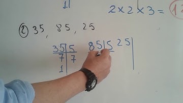 SÉPTIMO  MCD. 1SEP.