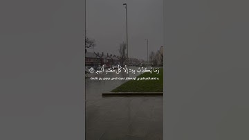 قارئ مشاري العفاسي | سورة المطففین 🎧🤍