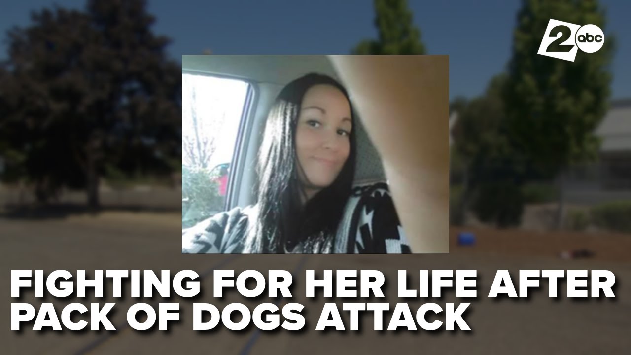 Portland mom still in ICU more than a week after pack of dogs attacked ...