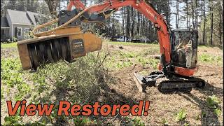 Clearing the View: Mulching Overgrown Front Yard Briars