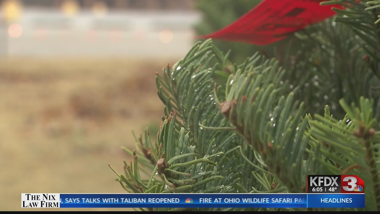 Optimist Christmas Tree Lot YouTube