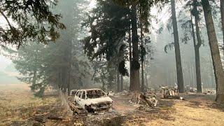 Oregon Wildfires 2 Weeks Later. Into The Ashes...