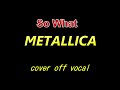 METALLICA - So What  cover instrumental (off vocal)