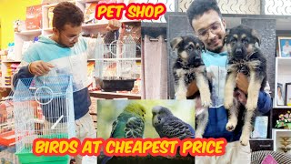 Pet shop | King's Shepherd | An informative video for all pet lovers | #petshop #doglover #budgies
