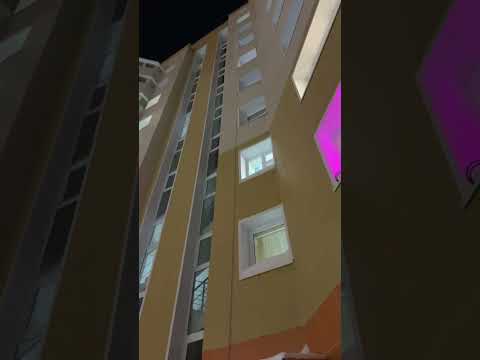 ЭТО СЕВЕР / спасаются как могут / зимой и летом #север #новыйуренгой
