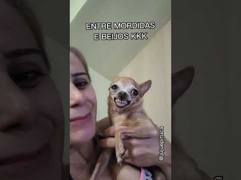 PINSCHER 99,99% ÓDIO - YouTube