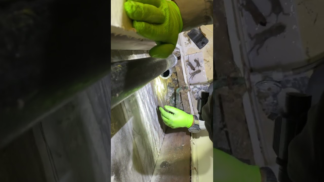 Removing a Litter of Rats from Wall Void | Versa-Tech® Rodent Control | Los Angeles County