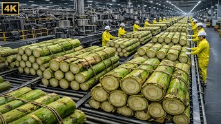Inside a Billion Dollar Banana Stem Factory | From Waste to Expensive Fiber (Full Process)