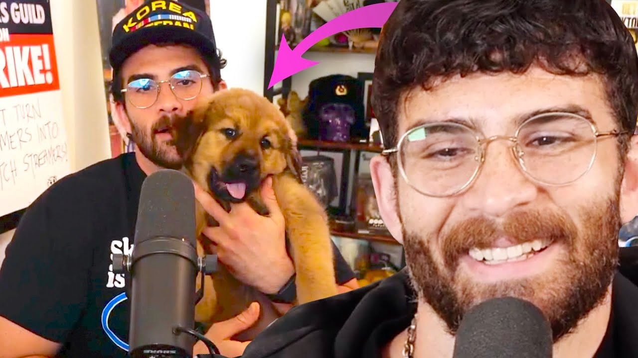 Хасан смотрит старые видео щенков Каи | Реакция Хасана Аби